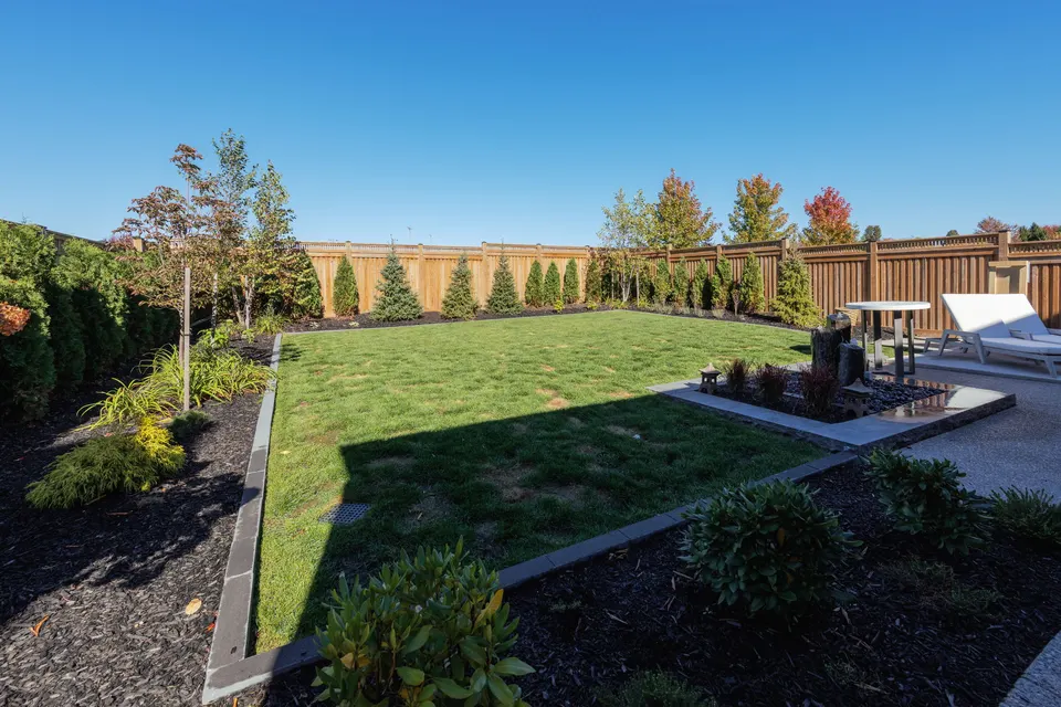 Backyard lawn, trees and custom fence