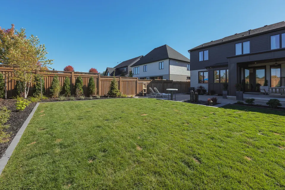 Backyard toward the house